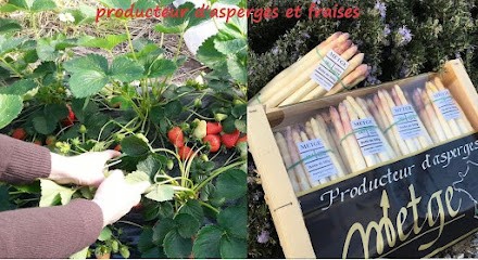 Earl Metge, Primeur Fruits et Légumes à Soustons