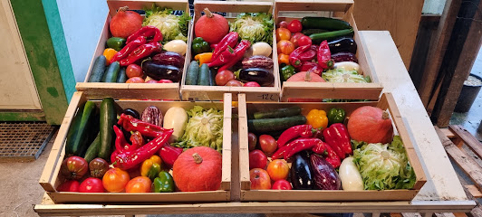 Le Potager De Camille 31 Primeur - Fruits Et Légumes à Saint-Jory
