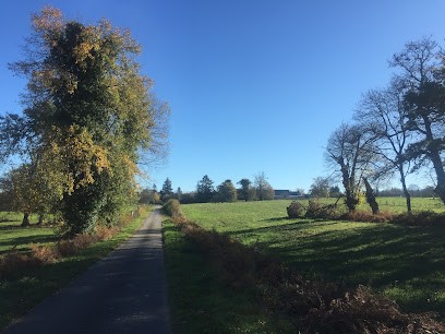 EARL Les Jardins Des Fougères, Primeur Fruits et Légumes à Saint-Sornin-Leulac