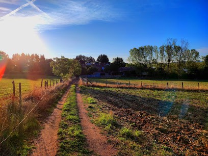 Gaec De La Conche, Primeur Fruits et Légumes à Saint-Laurent-de-Chamousset