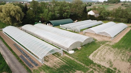 S'Bureladel - Ferme Rosenfelder, Primeur Fruits et Légumes à Woerth