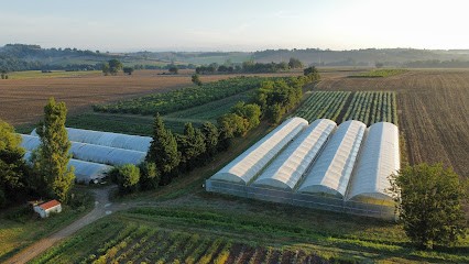 Jardins De Saint Sernin, Primeur Fruits et Légumes à Villenouvelle