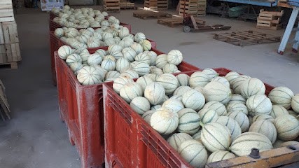 Melons Charentais, Tomates Fraises Doussaint, Primeur Fruits et Légumes à Saint-Quentin-de-Chalais