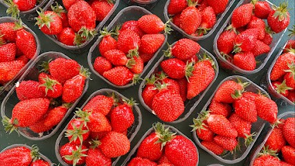 Fraises Labaronne, Primeur Fruits et Légumes à Tours