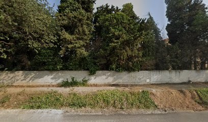 Earl La Deveze, Primeur Fruits et Légumes à Pollestres