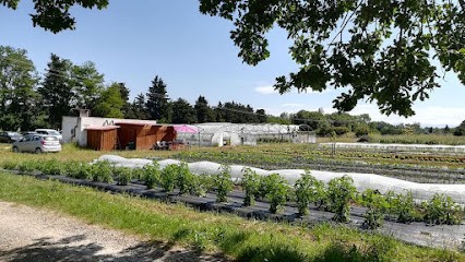 Les Jardins Du Rozier, Primeur Fruits et Légumes à Montélimar