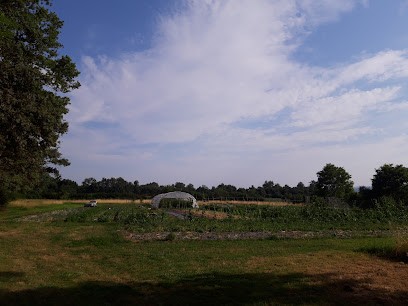 Le Jardin de Docteur Persil et Mister Ail, Primeur Fruits et Légumes à Champdieu