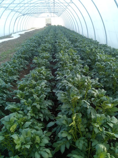 Chaffard Daniel, Primeur Fruits et Légumes à Neydens