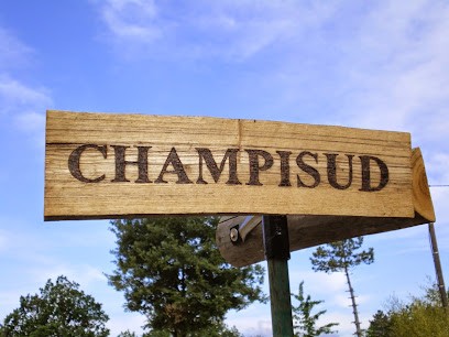 Champisud - Shiitakés et châtaignes, Primeur Fruits et Légumes à Saint-Bonnet-de-Salendrinque