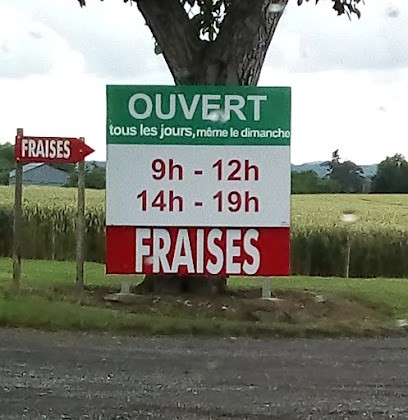 FRAISES PLEIN-CHAMP- CUEILLETTE DE FRAISES, Primeur Fruits et Légumes à Acy