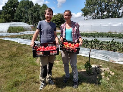 Les Jardins du Theil, Primeur Fruits et Légumes à Saint-Martin-du-Tilleul