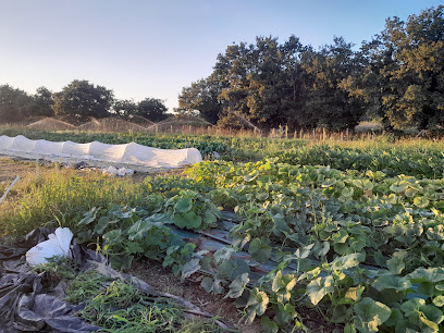 Jardins De La Mirablais, Primeur - Fruits Et Légumes à Missillac
