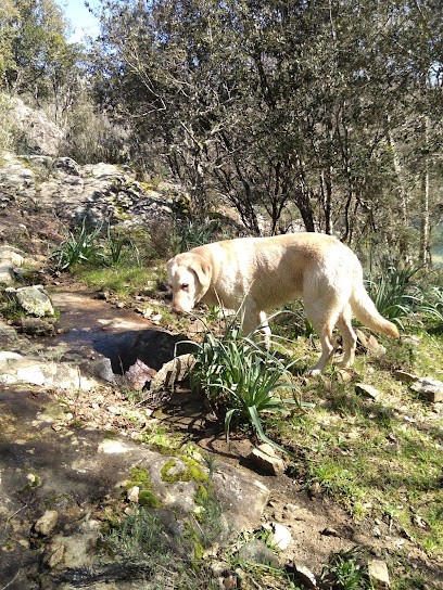 Apa Maestra, Primeur Fruits et Légumes à Tavaco