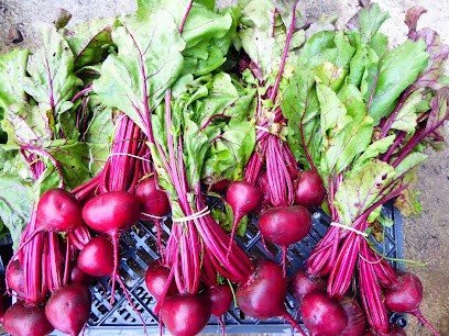 Les potagers de la Source. Hélène Roussel Damien Chambournier, Primeur Fruits et Légumes à Soueix-Rogalle
