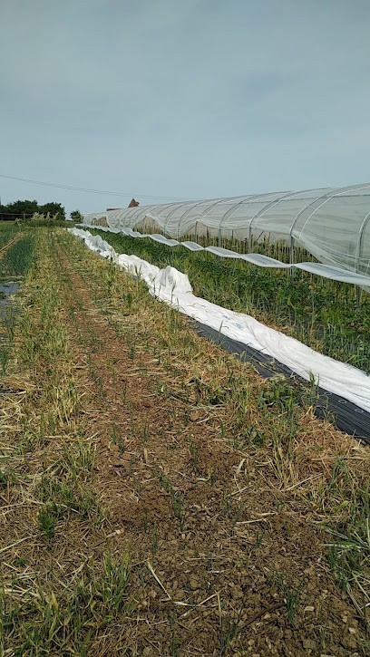 Le Jardin de Camélico and Co, Primeur Fruits et Légumes à Sauvagnas