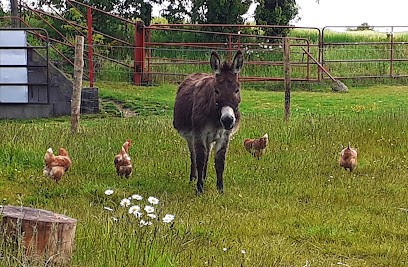 Le Jardin Bio Des Cleiottes, Primeur Fruits et Légumes au Pertre
