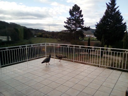 SAS Chrystel Primeurs, Primeur Fruits et Légumes à Bren