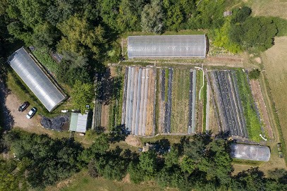 Les Jardins du Pont de Chêne, Primeur Fruits et Légumes à Chaponost