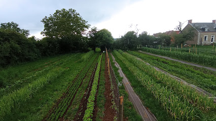 Les Jardins D'augerolles, Primeur - Fruits Et Légumes à Saint-Saturnin