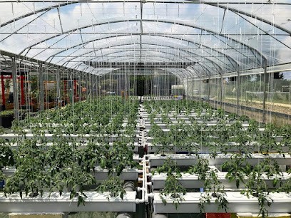 Micro ferme D'eau et d'argile, Primeur Fruits et Légumes à Condom