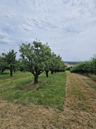 EARL Vincent Neveux Producteur De Fruits Et Légumes, Primeur Fruits et Légumes à Norroy-le-Veneur