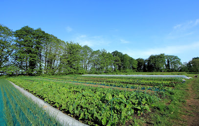 Les Jardins De Ker Thérèse, Primeur - Fruits Et Légumes à Kerfourn