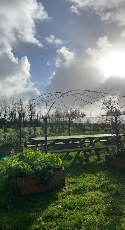 Le Champ des comestibles, Primeur Fruits et Légumes à Cauville-sur-Mer