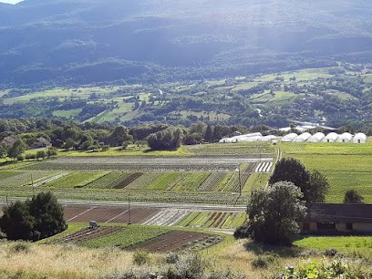 Marcet Denis, Primeur Fruits et Légumes à Seyssel