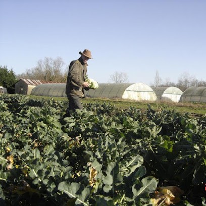 Producteur Maraicher à BRANGES, Primeur Fruits et Légumes à Branges