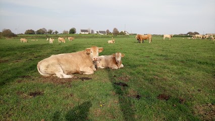Riou Michel, Primeur Fruits et Légumes à Taulé