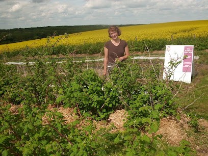Ferme De La Nature, Primeur Fruits et Légumes à Saint-Germain-des-Prés