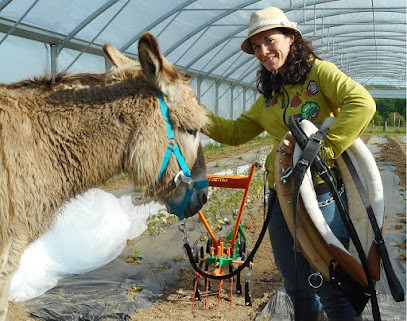 La Maraich'âne, Primeur Fruits et Légumes à Caden