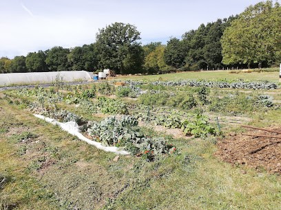 Les Jardins de la Croquetière, Primeur Fruits et Légumes à Saint-Léger-de-Rôtes