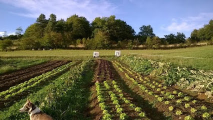 Ecogrove Organics Primeur - Fruits Et Légumes à Moissac