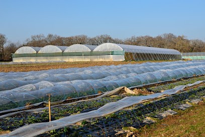 EARL Dureau, Primeur Fruits et Légumes à Chaumes-en-Retz
