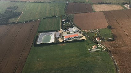 Melons Céleste Murail, Primeur Fruits et Légumes à Sainte-Gemme-la-Plaine