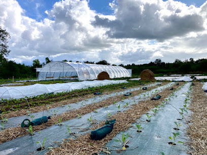 Ferme Du Petit Savenay, Primeur - Fruits Et Légumes à Malherbe-sur-Ajon
