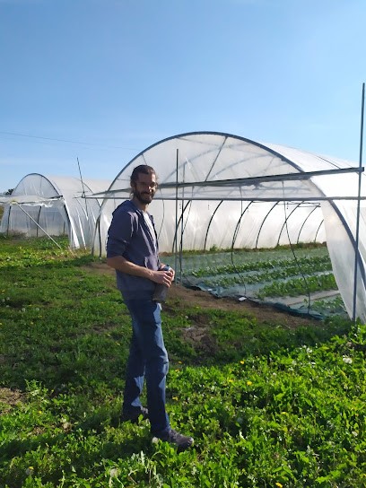 Les Jardins Du Petit Chou, Primeur Fruits et Légumes à Saint-Jory