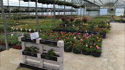 Bouchet Frères - Fleurs & Légumes, Primeur Fruits et Légumes à Cruseilles