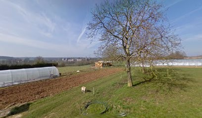 Lait Jardins Bio, Primeur Fruits et Légumes à Remoiville