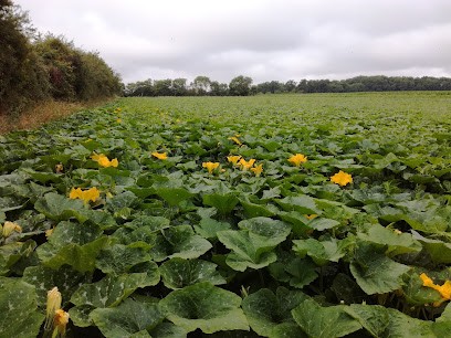 Ferme Potiron Et Cie, Primeur Fruits et Légumes au Hom