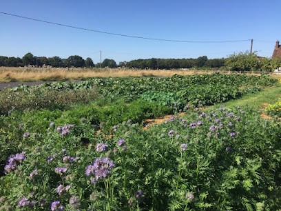Ferme De L'Evarderie, Primeur Fruits et Légumes à Saint-Éliph
