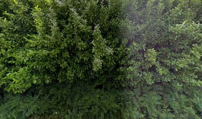 Les Fraises D'à Côté, Primeur Fruits et Légumes à Maen Roch