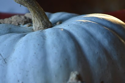 Bouillon De Cultures, Primeur Fruits et Légumes à Loudéac