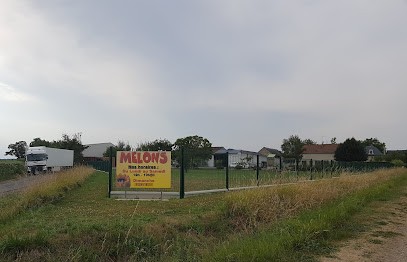 Earl Des Noisetiers, Primeur Fruits et Légumes à Thuré