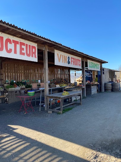 La Cueillette De Léon, Primeur Fruits et Légumes à Villeneuve-lès-Béziers