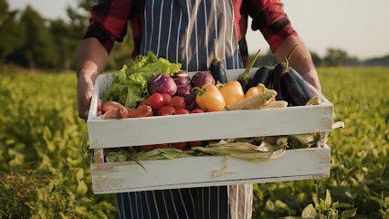 EARL De ROUDAYRE, Primeur Fruits et Légumes à Laparade