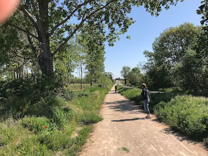 La Ferme De La Clef De Sol, Primeur Fruits et Légumes à Vernaison