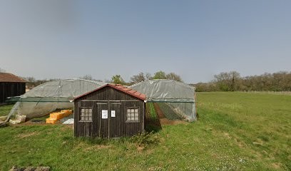 Andron Lucie, Primeur Fruits et Légumes à Naujan-et-Postiac