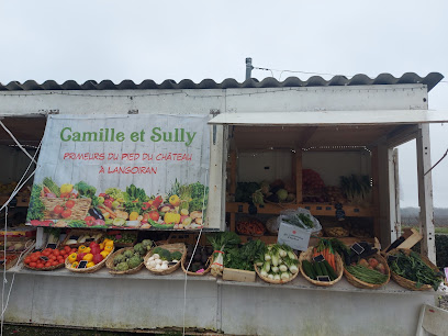 Camille Et Sully Primeur Primeur - Fruits Et Légumes à Langoiran